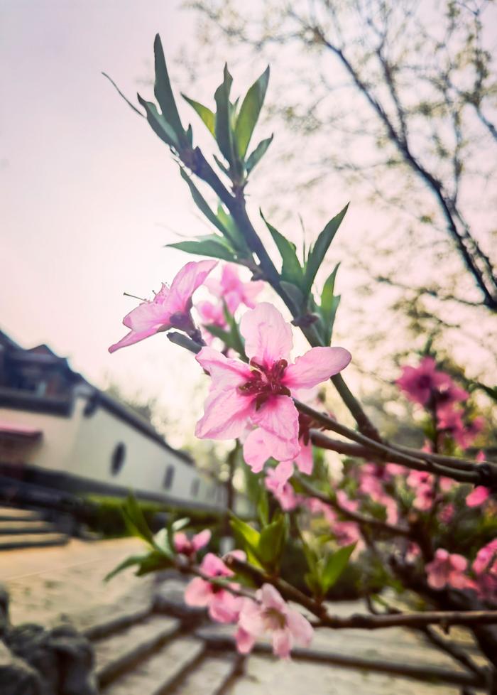 在崔各庄，如果你要写春天，就不能只写春天！