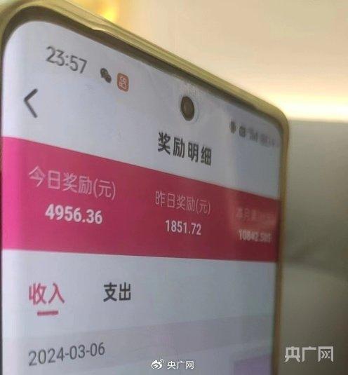 一名代理分享的“聊天员”收入明细(央广网发)
