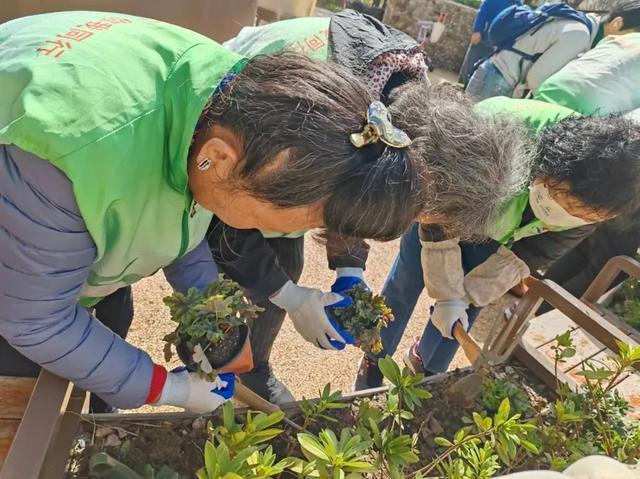 春天适合种哪些植物？上海长宁“城市园丁”为生境花园添新绿