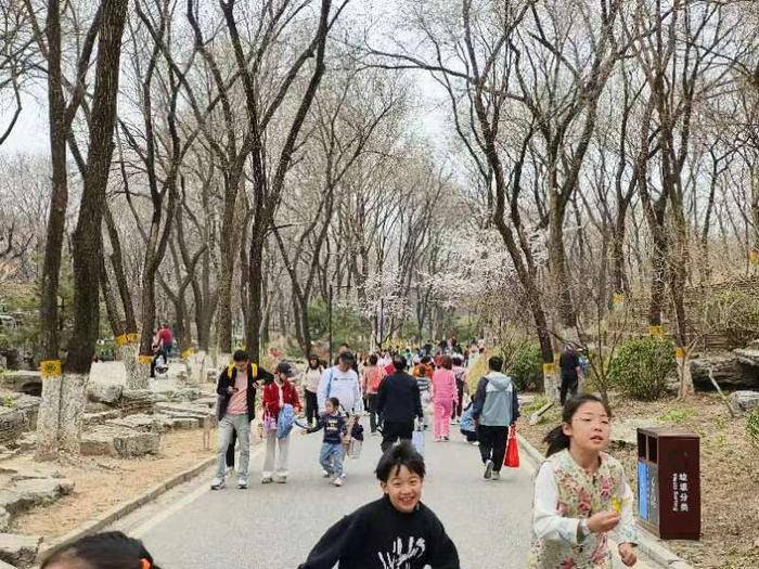 北宫国家森林公园开启踏青节 邀市民来品伊始之春