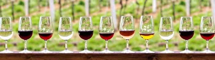 培训教育 | 【宜宾】葡萄酒品鉴师课程第二期!预报从速！