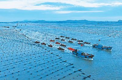 2023年，全国海洋生产总值较上年增长6.0%——中国海洋经济复苏强劲
