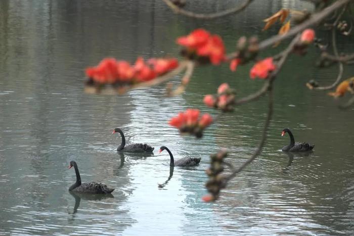 入夏进程启动！广东多地气温打破3月最高纪录，强对流和雷雨又将登场