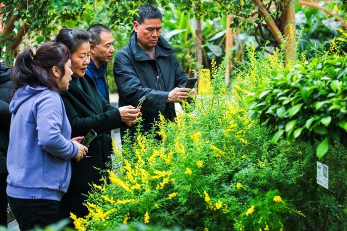 世界花卉大观园有一面能吃的“墙”