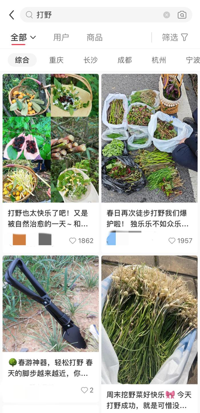 上海人最近迷上“打野”？有人分享挖野菜攻略，专家：有风险