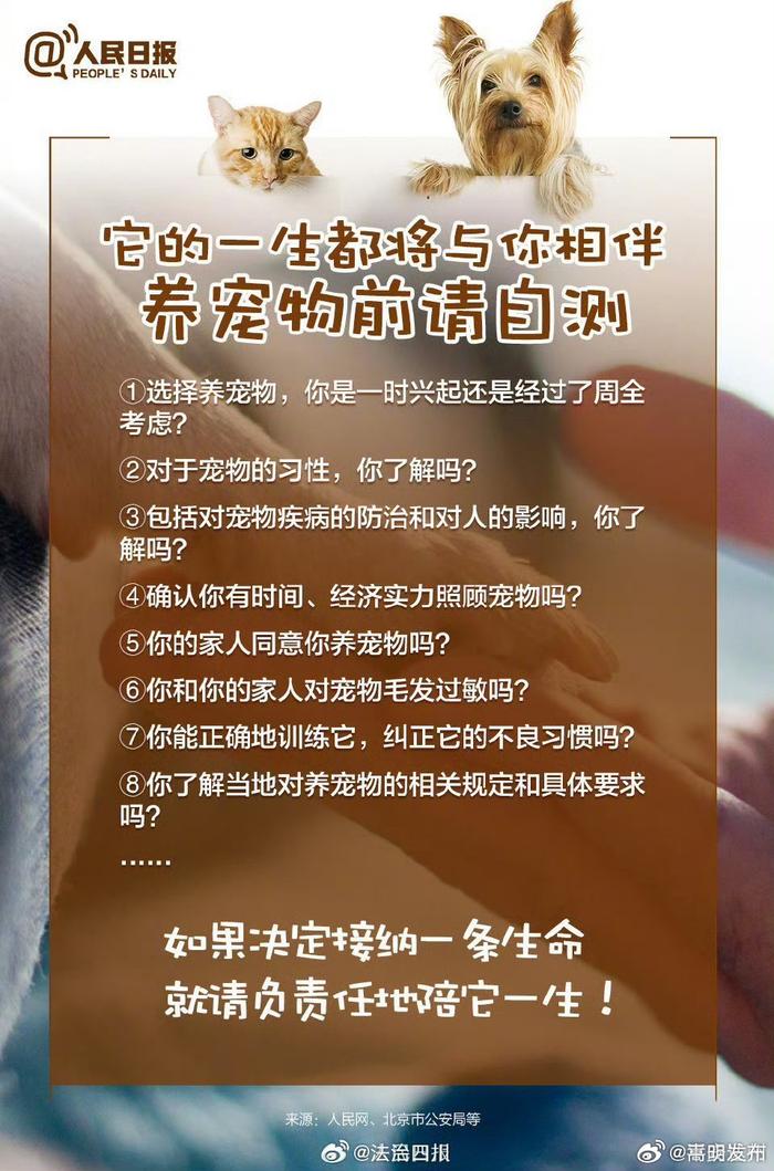 养宠物前必须想清楚的事！@ 所有宠物主人：爱它就别抛弃它，好吗？