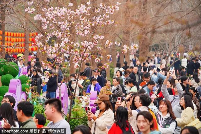 一票难求！北京，偷偷偷走我的心，2024张学友60+演唱会北京站游玩指南请收！