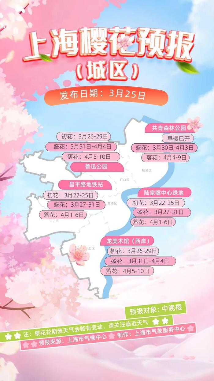 申城明日气温飙升，一日两季！上海“赏樱攻略”来了，错过等一年