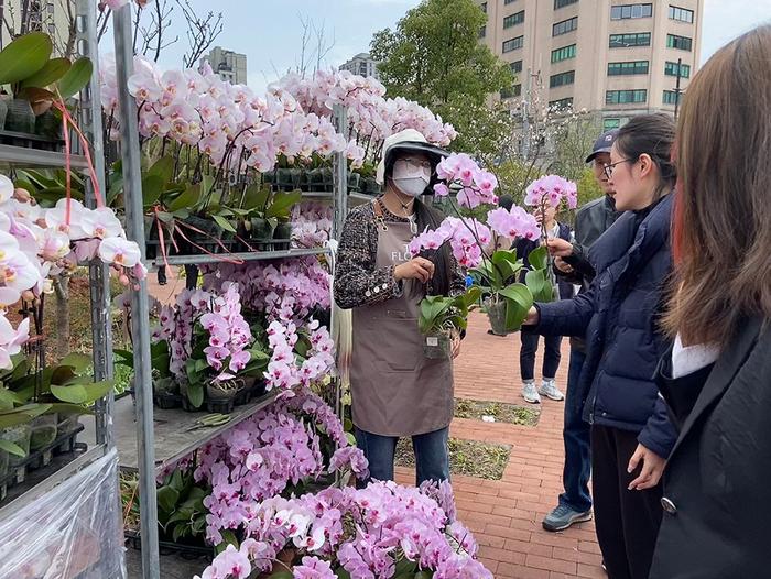 上海这些市民园艺中心“倒贴钱”运营，政府、企业图什么？