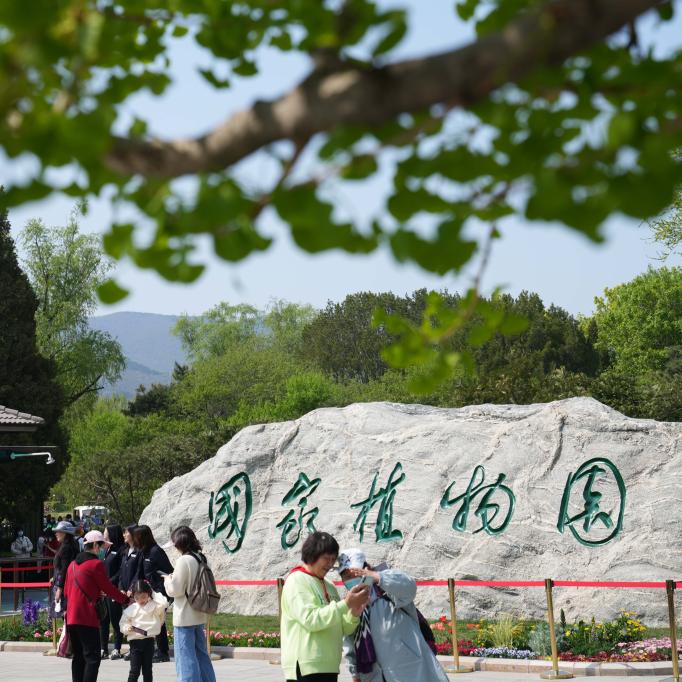 本周末祭扫高峰，出行热度高