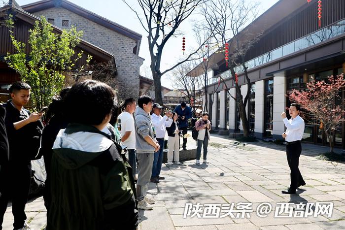 油菜花、牡丹花、黑稻田 汉中洋县有机产业有自己的“三原色”