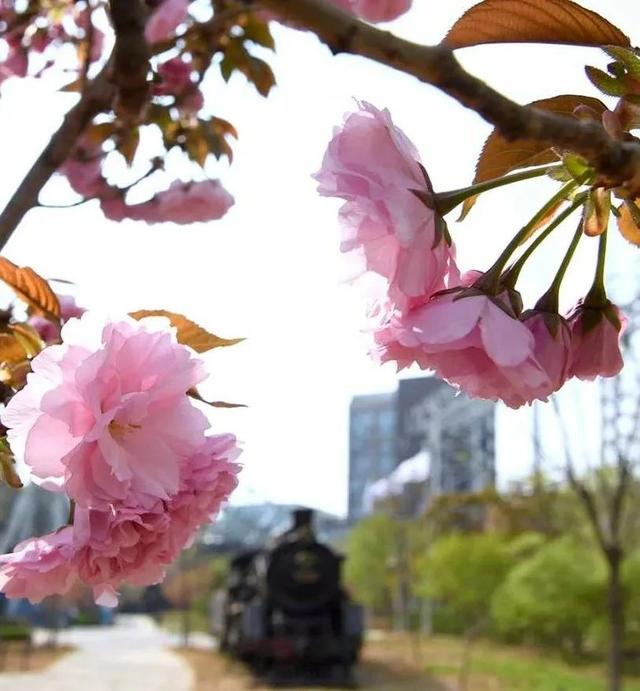 北京，没来这些地方我心如刀割