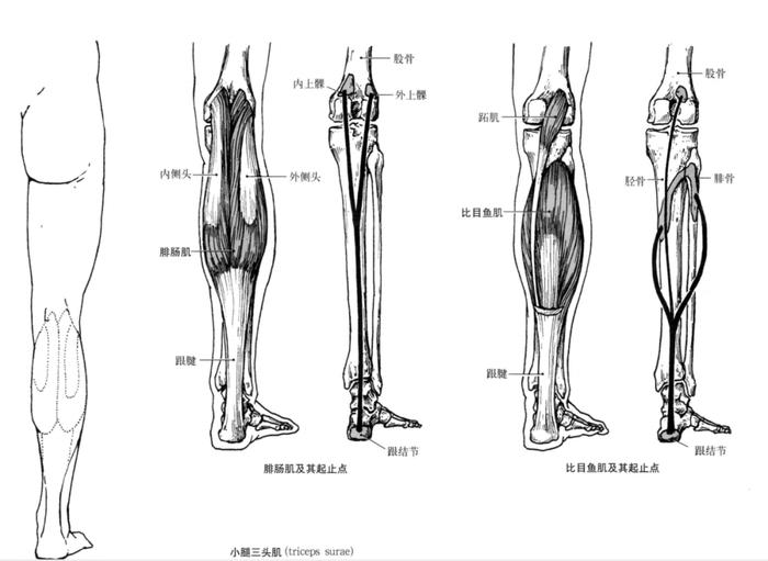 没开玩笑，爱抖腿的人最后都瘦了