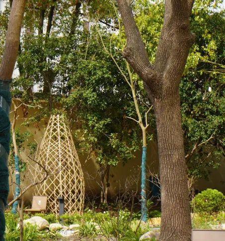 在自然中学习，上海长宁新泾镇第5座生境花园开园