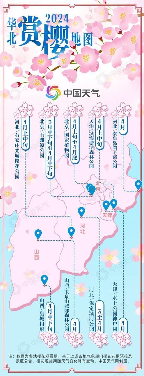 2024华北赏樱地图来了，河北这几处等你共赴“花约”→