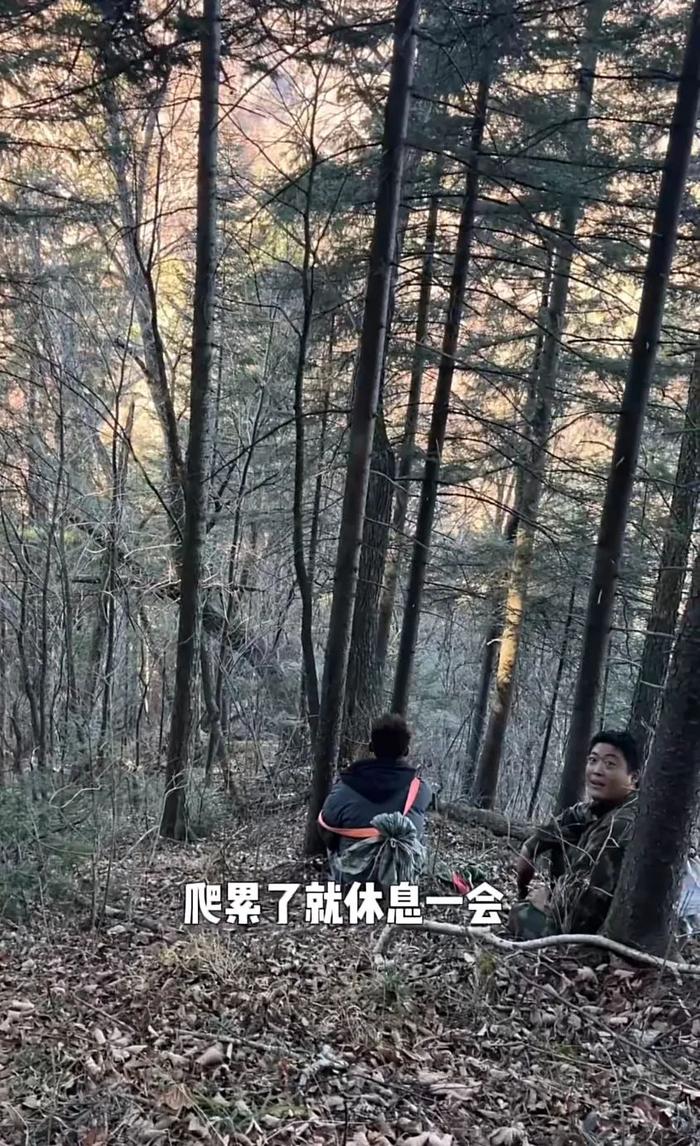 上山采东北稀有特产，能赚多少钱？