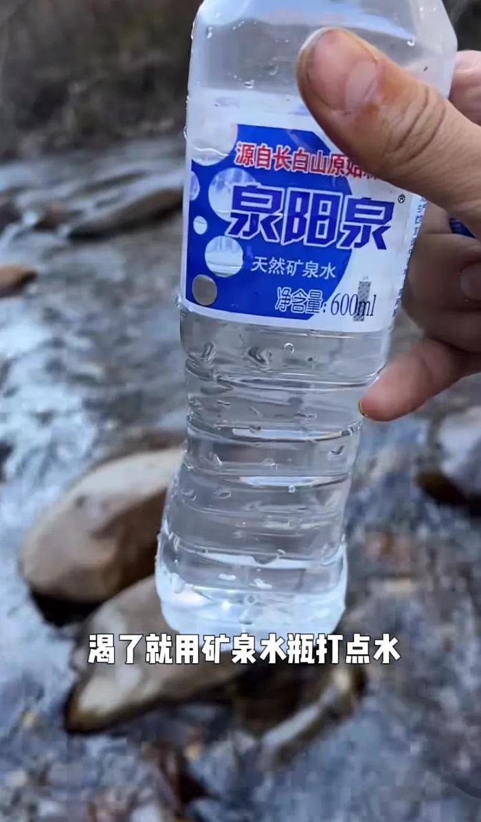 上山采东北稀有特产，能赚多少钱？