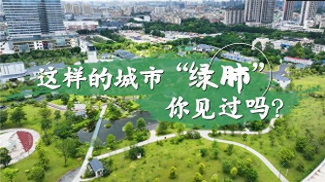 世界水日·中国水周 | 这样的城市“绿肺”，你见过吗？