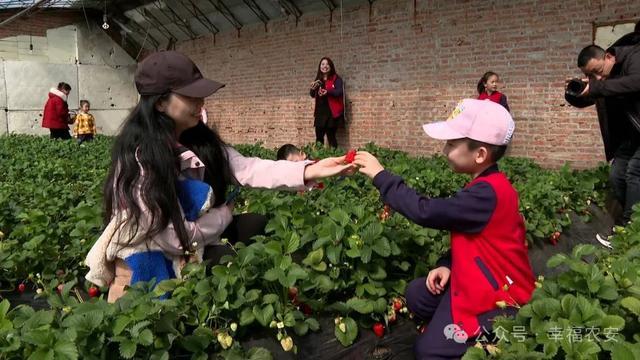 共塑农文旅 共享‘莓’好生活——农安县合隆镇开启第三届草莓文化旅游季
