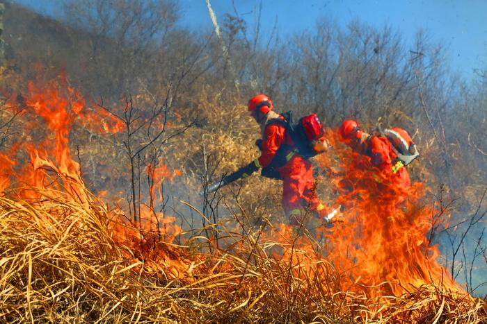 加强演练和培训，国家消防救援局河南机动队伍备战森林防火紧要期
