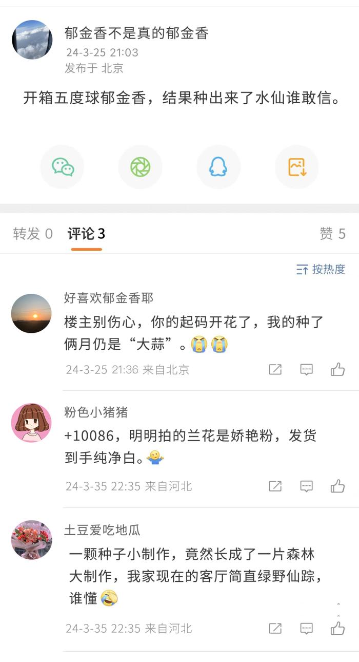 开箱五度球郁金香，结果竟种出了水仙……关于买花种花的那些坑，你踩过多少？