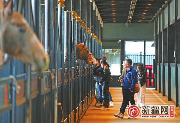 【爱新疆 游家乡】2024年“千车万人·穿越中亚三国”特种旅游活动计划4月发车 促进中华文化与中亚各国文化交流互鉴