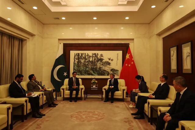 巴基斯坦国民议会议长萨迪克吊唁达苏项目遭遇恐袭事件遇难中国公民