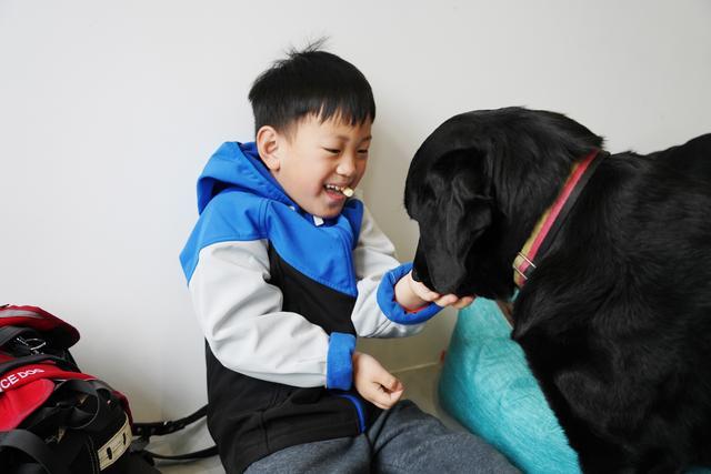 中国第一批孤独症辅助犬上岗了，它们能为孤独症儿童做什么？