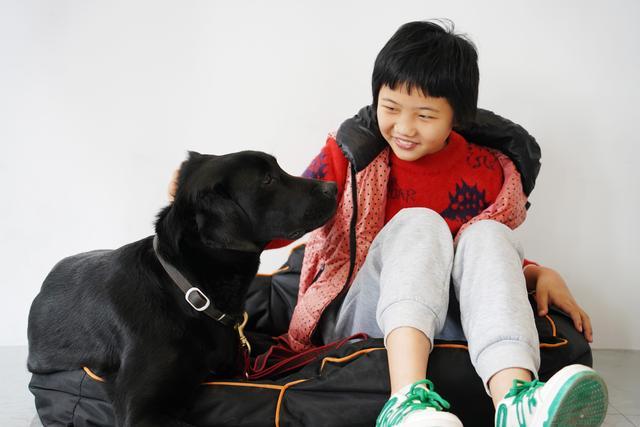 中国第一批孤独症辅助犬上岗了，它们能为孤独症儿童做什么？