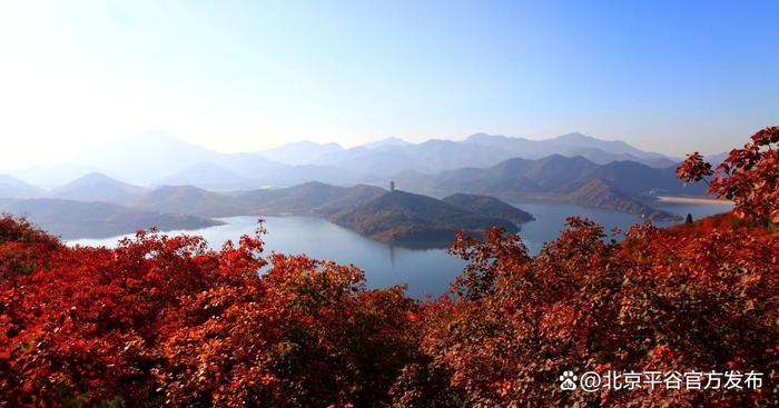 十里桃花海，醉美金海湖！打卡平谷最美赏花地③