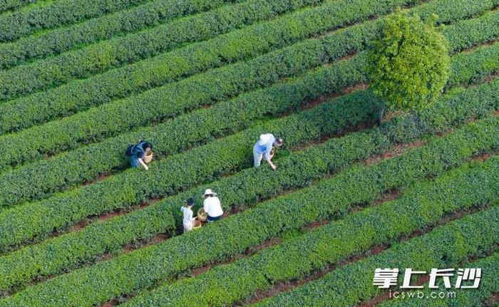 长沙，热榜前十！