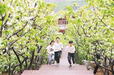 清明：气清景明养心性（二十四节气里的中医养生之道）