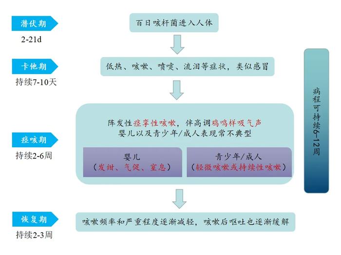 咳咳咳，百日咳卷土重来，我们该怎么做？