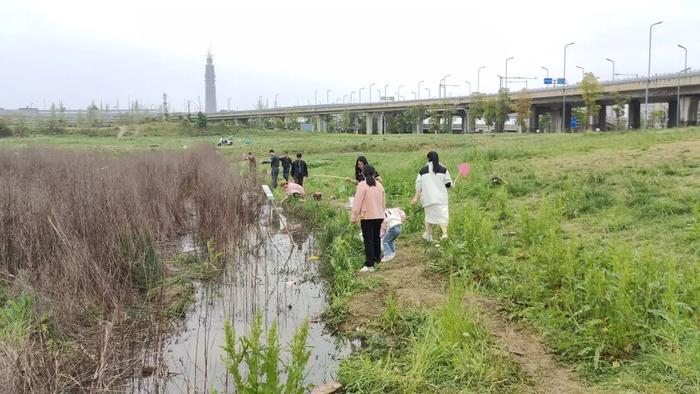 突然爆火！成都人又去“青龙湖钓龙虾”了？紧急提醒