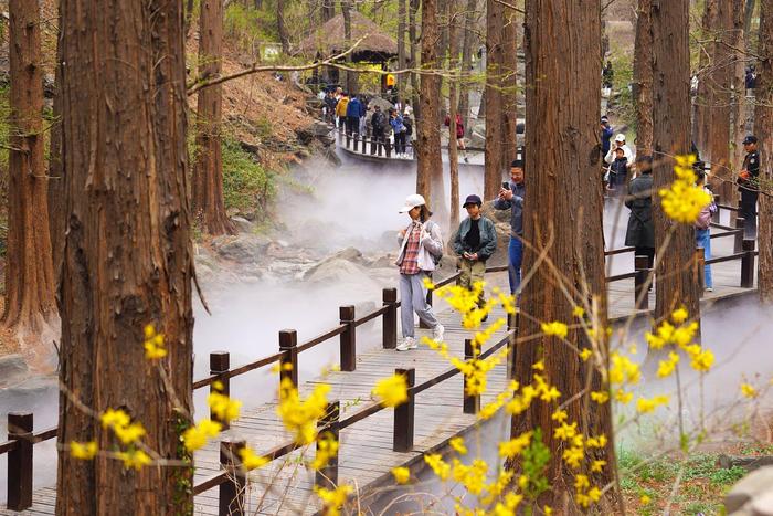 清明假期首日，北京市属公园接待56.7万游客，玉渊潭最多