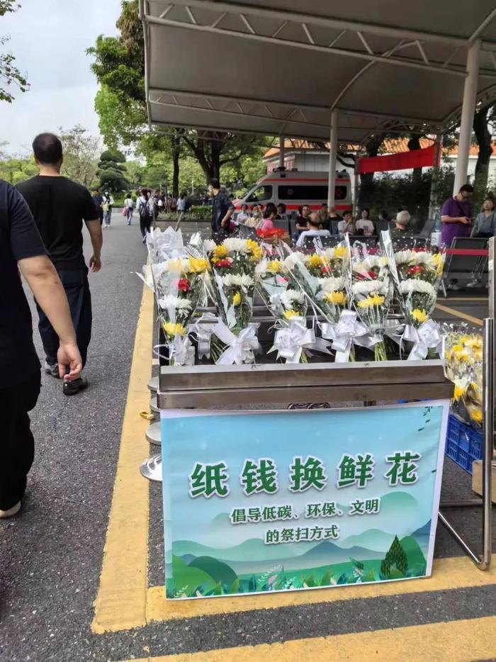 1.45万份骨灰植树，已节约超5个足球场面积用地，你接受“生态葬”吗？