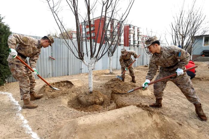 中国美术馆旁将添城市艺术空间！植绿护绿现场直击→