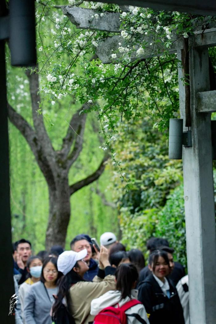 雨雨雨！已经开始下了！杭州高速交警发布返程提醒