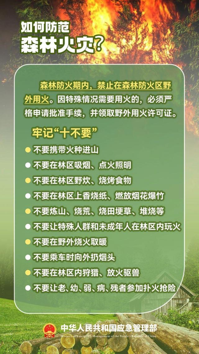 如何防范森林火灾？遇到火灾如何避险自救？这份安全提示请收下