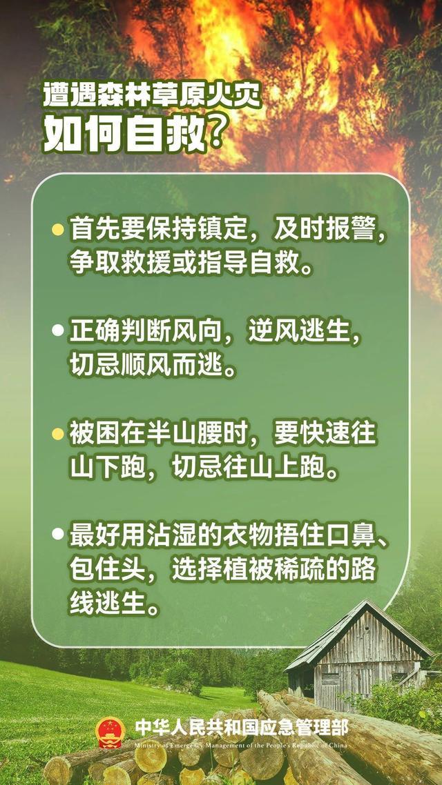 如何防范森林火灾？遇到火灾如何避险自救？这份安全提示请收下