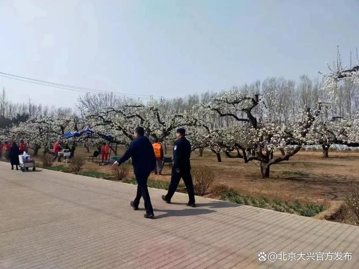 你赏花，我护航丨大兴区庞各庄镇全力保障，让美丽与安全同行