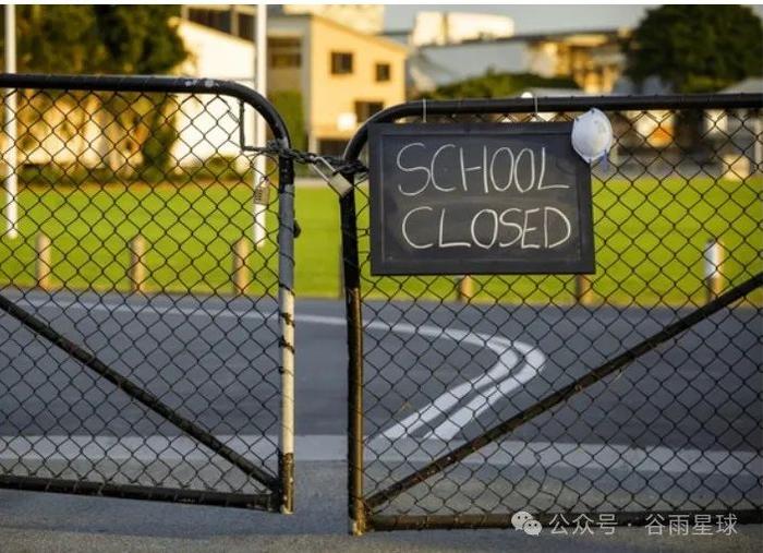 我在爆雷的国际学校当老师：被通知解散时，学生还在上课