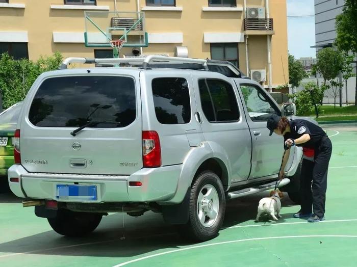 【提示】涨知识！除了柯基，你还知道哪些警犬？