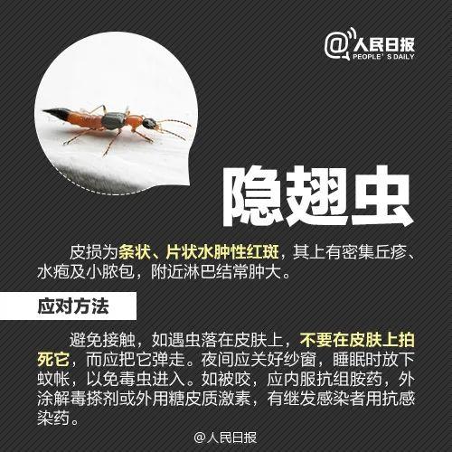 最近，很多广东人衣服上都有这种小颗粒！要怎么处理？