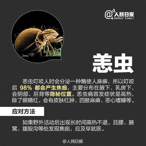 最近，很多广东人衣服上都有这种小颗粒！要怎么处理？