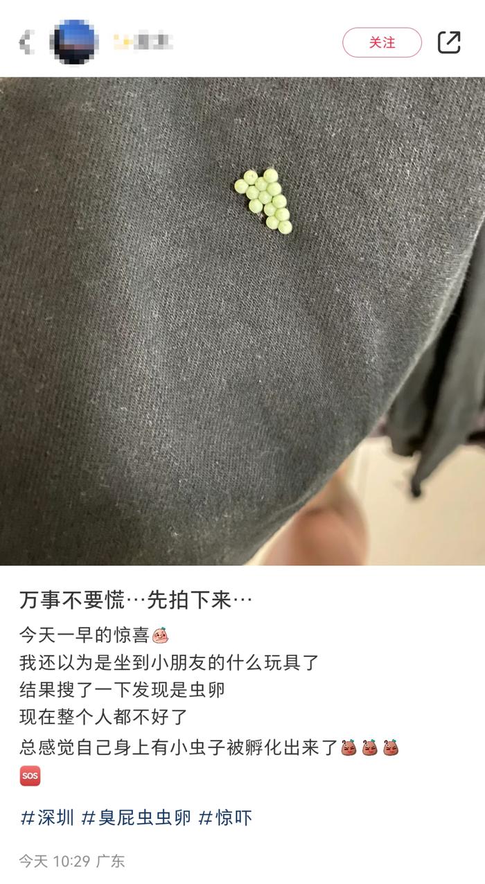 最近，很多广东人衣服上都有这种小颗粒！要怎么处理？