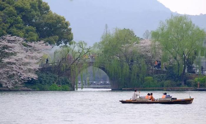 欢迎“登录”浙江，您有一张春日兑换券待领取……