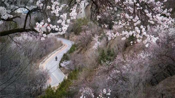 ​人间四月西岩山，烟云袅袅，恍若天上人间……