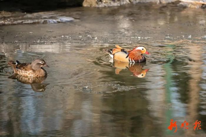 22℃来了！哈尔滨这温度，得劲儿～