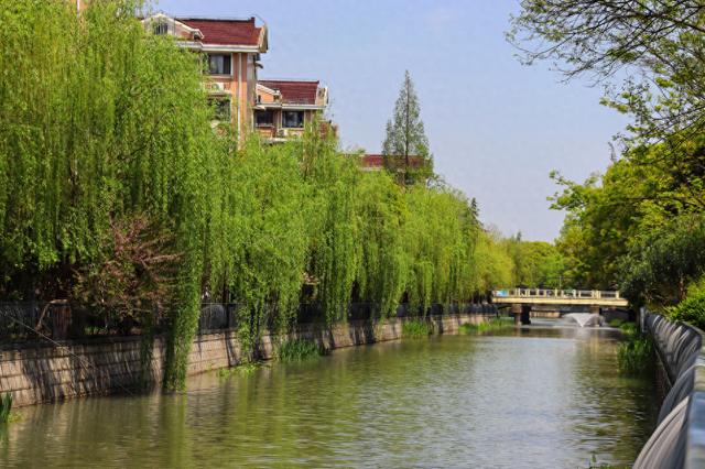 春光里，上海长宁这条河道的美超乎你的想象